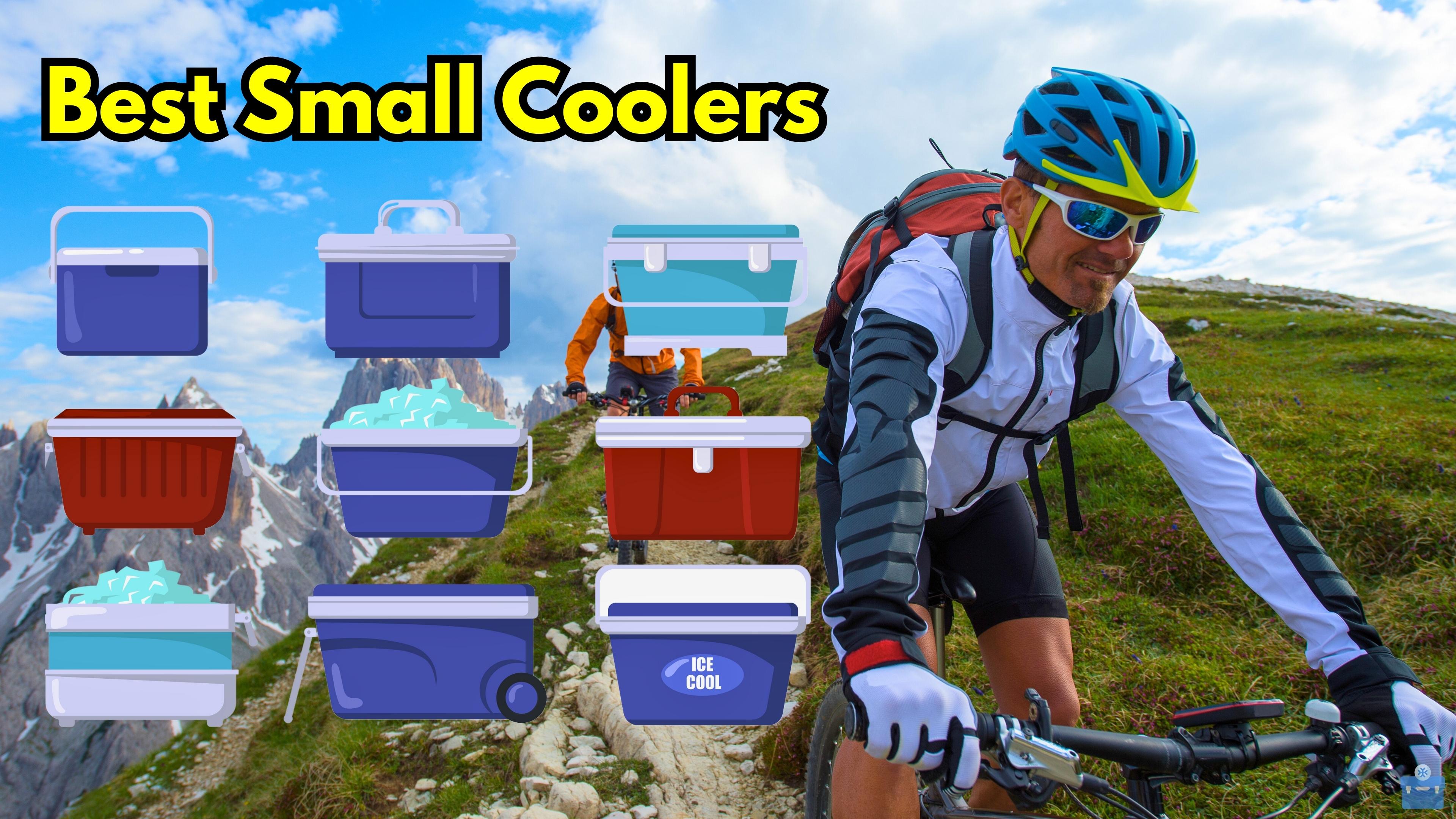 Best Small Coolers: Top 15 Of 2023