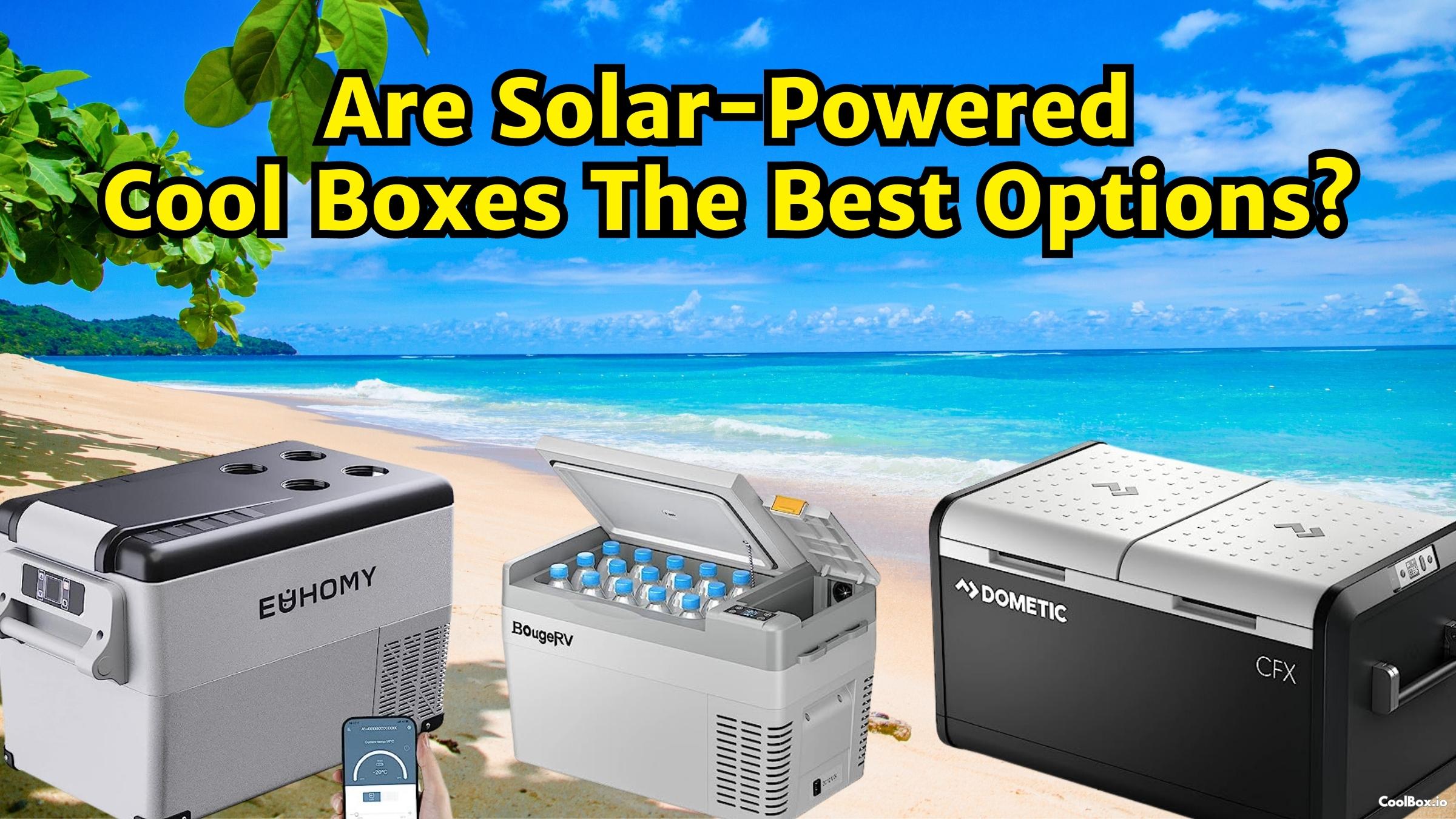Are Solar-Powered Coolers The Best Options?