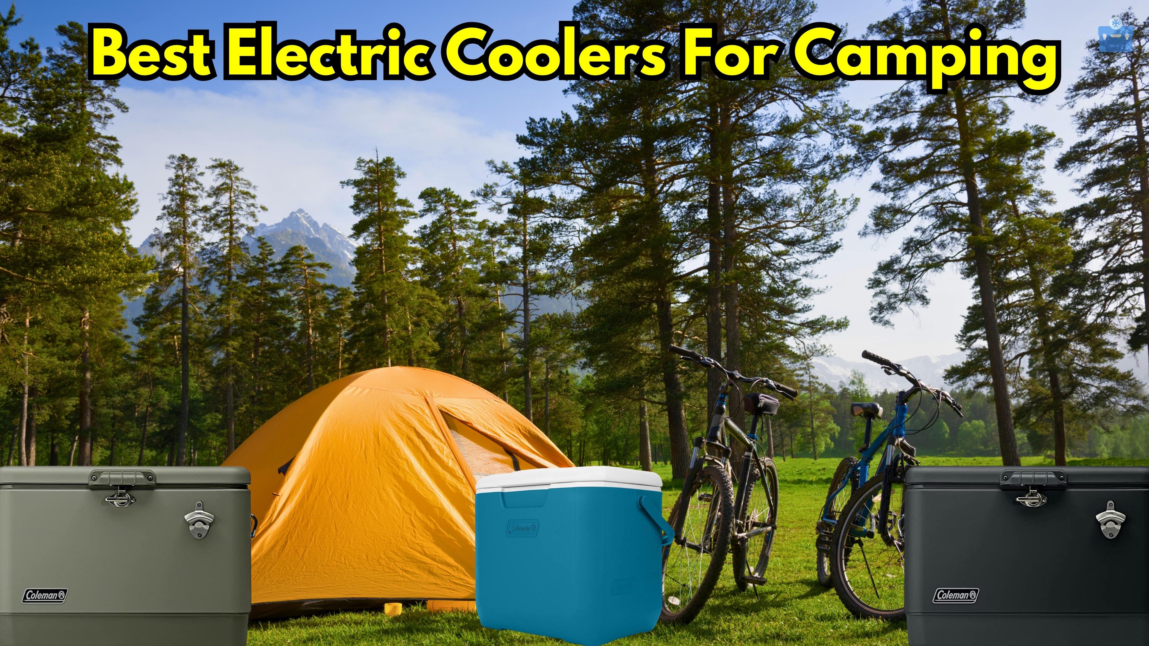 Best Electric Coolers For Camping: Top 6 Of 2023