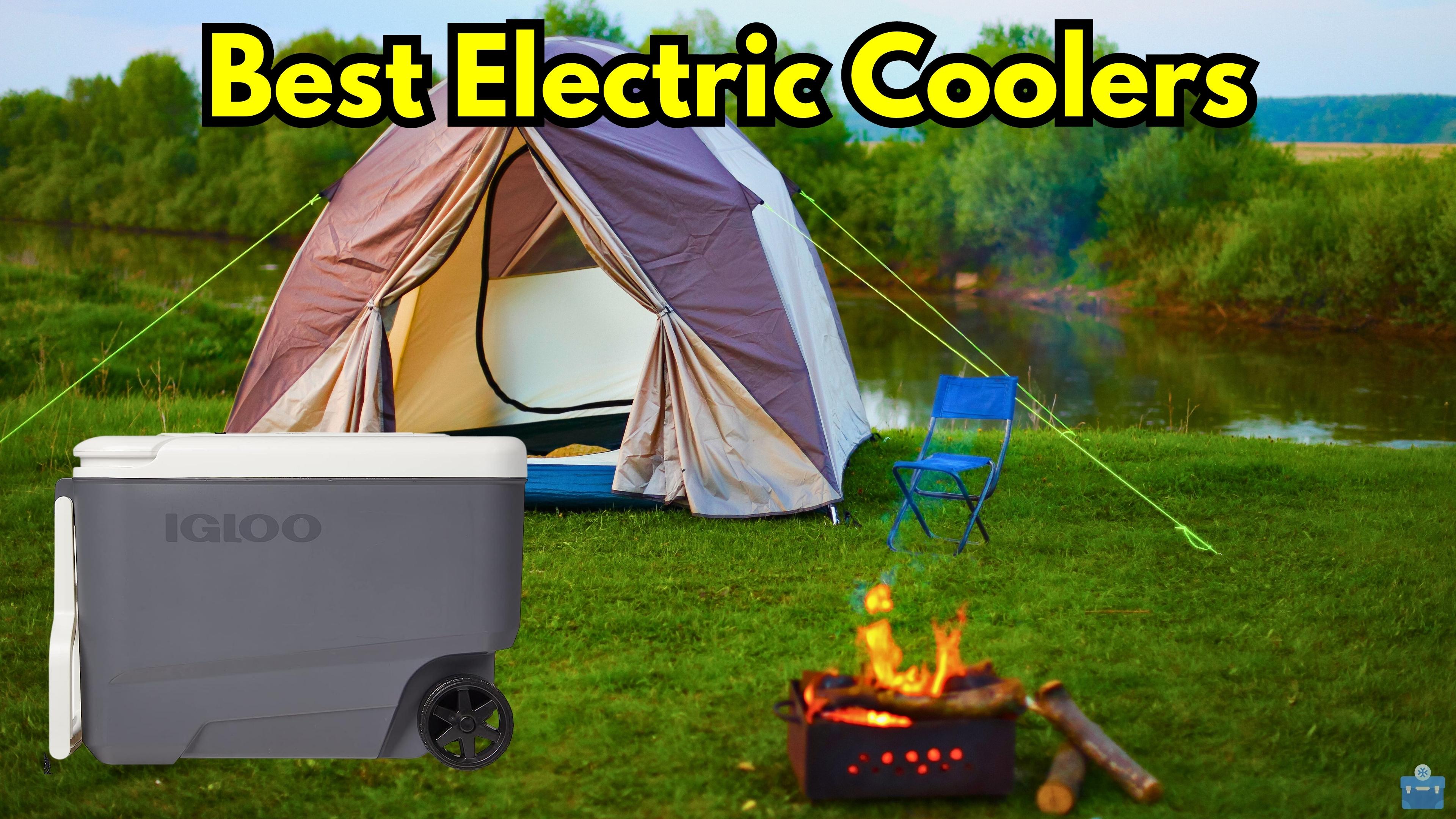 Best Electric Coolers: Top 17 Of 2023