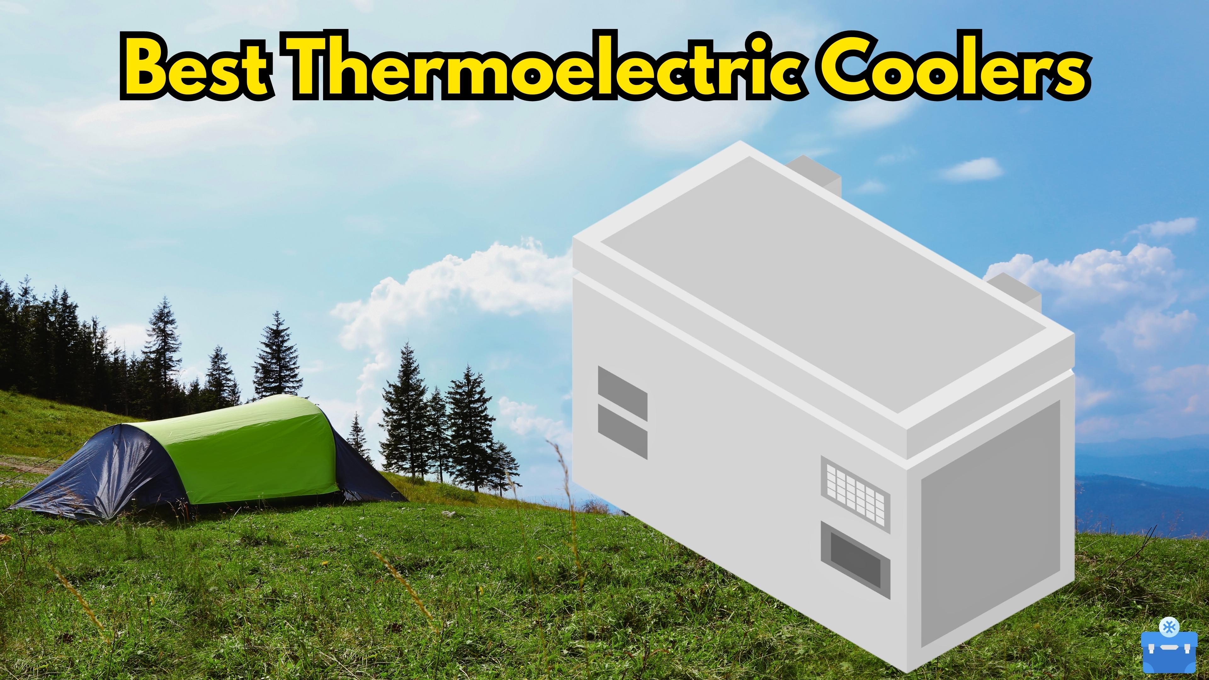 Best Thermoelectric Coolers: Top 6 Of 2023